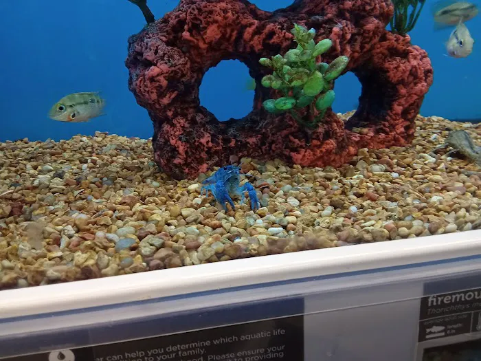 Petco Picture 9