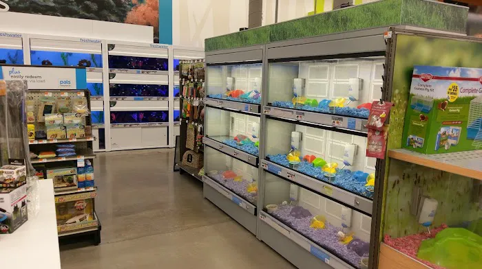 Petco Picture 6