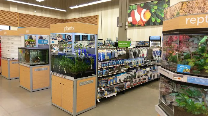 Petco Picture 8