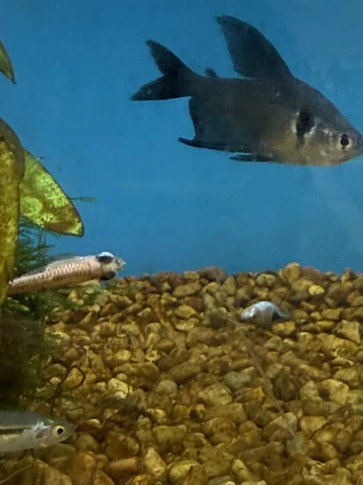Petco Picture 1