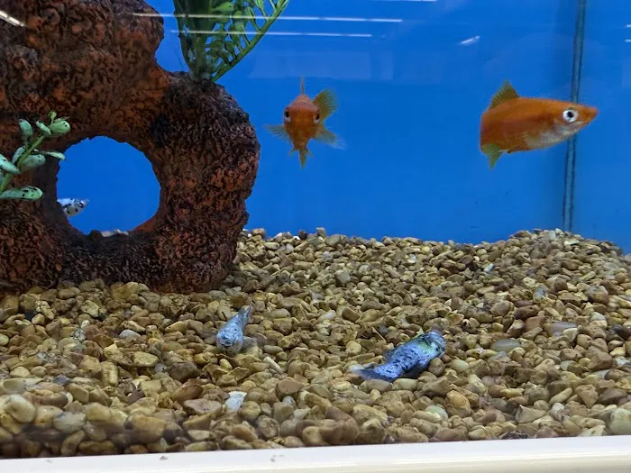 Petco Picture 3