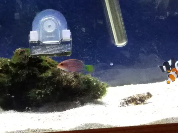 Petco Picture 7