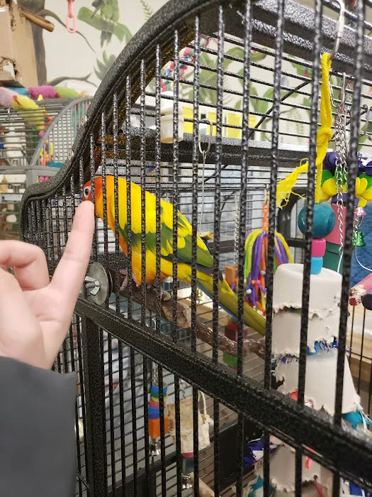 Bird & Reptile Connection Picture 10