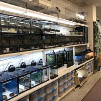 Bird & Reptile Connection ico