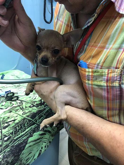Riverdale Animal Hospital Picture 9