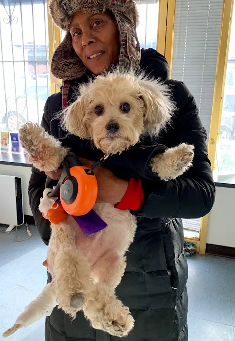 Riverdale Animal Hospital Picture 4