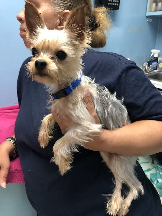 Riverdale Animal Hospital Picture 10
