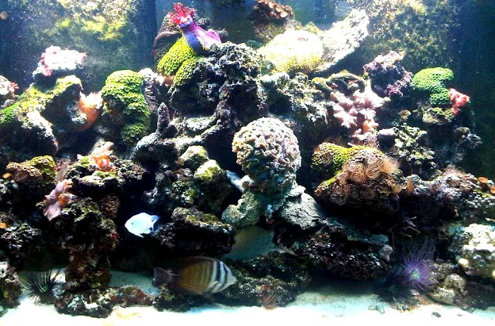 The Fish Guy/Fish Works Picture 1