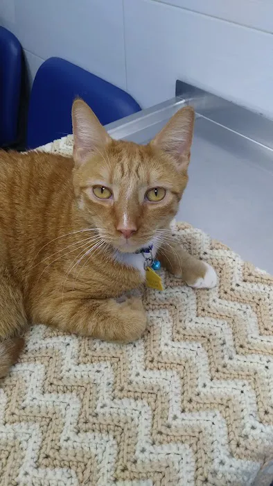Riverdale Veterinary Group PC Picture 5