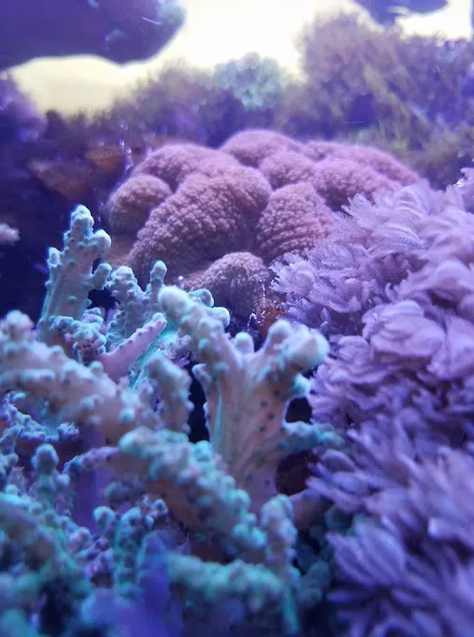 Fish Works Picture 5
