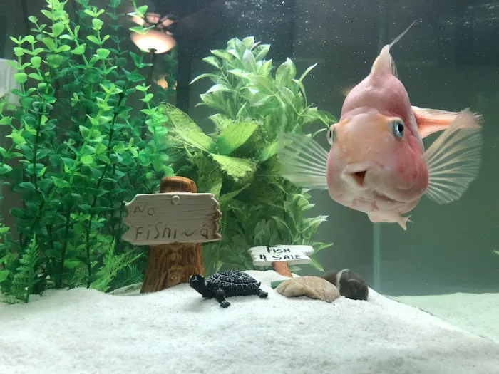 Fish Works Picture 3