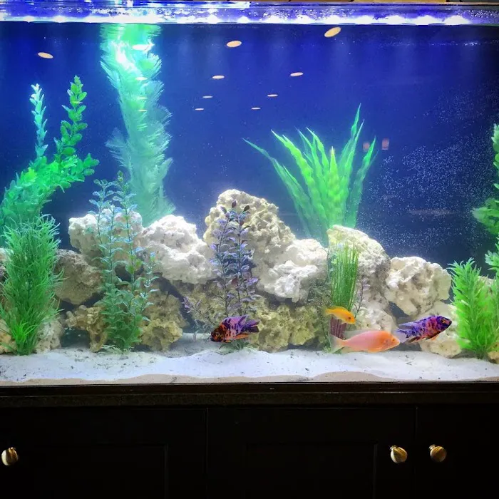 Fish Works Picture 8