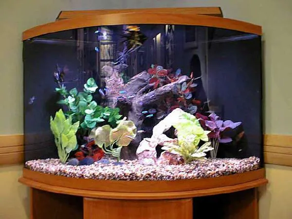 Fish Works Picture 4