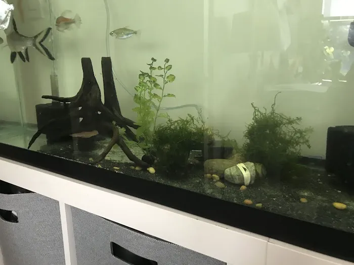 Fish Works Picture 2