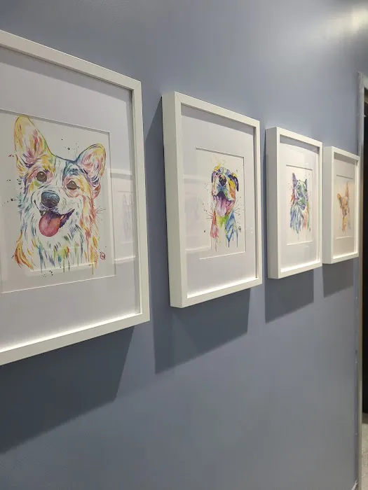 Oliver's Dog & Cat Clinic Picture 7