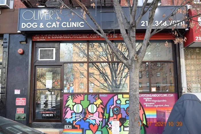 Oliver's Dog & Cat Clinic Picture 8
