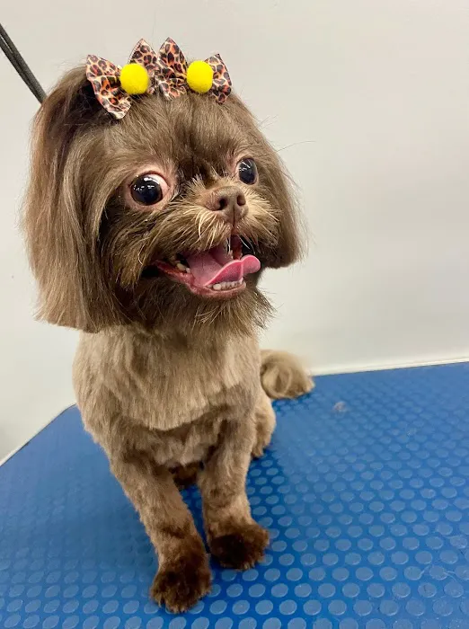 Holly Pet's Picture 2