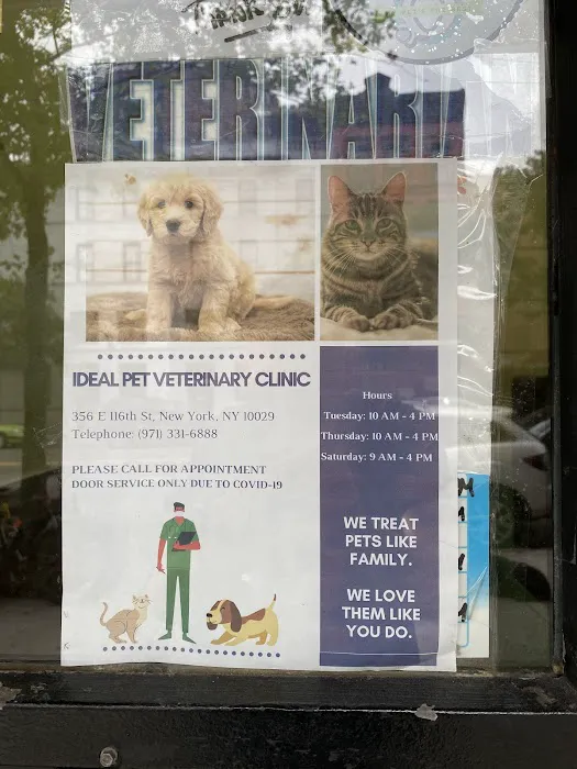 Ideal Pet Veterinary Clinic Picture 9