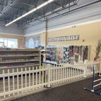 DogPerfect Canine Emporium LLC ico