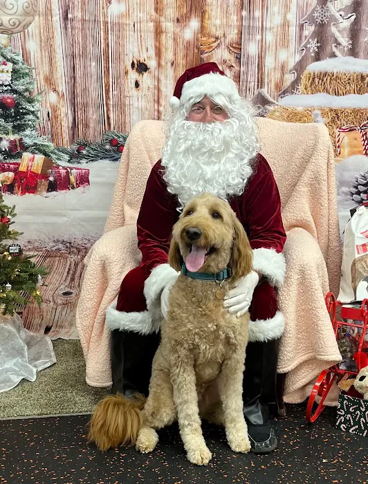 DogPerfect Canine Emporium LLC Picture 10