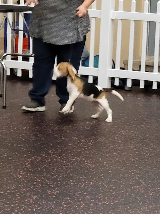 DogPerfect Canine Emporium LLC Picture 2