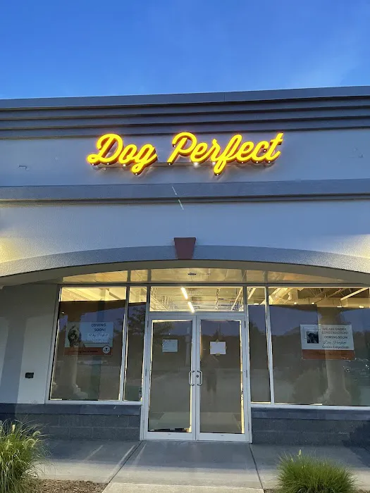 DogPerfect Canine Emporium LLC Picture 4