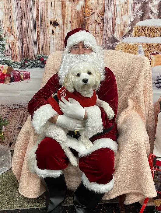 DogPerfect Canine Emporium LLC Picture 9