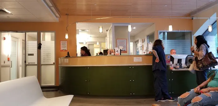 ASPCA Animal Hospital Picture 10