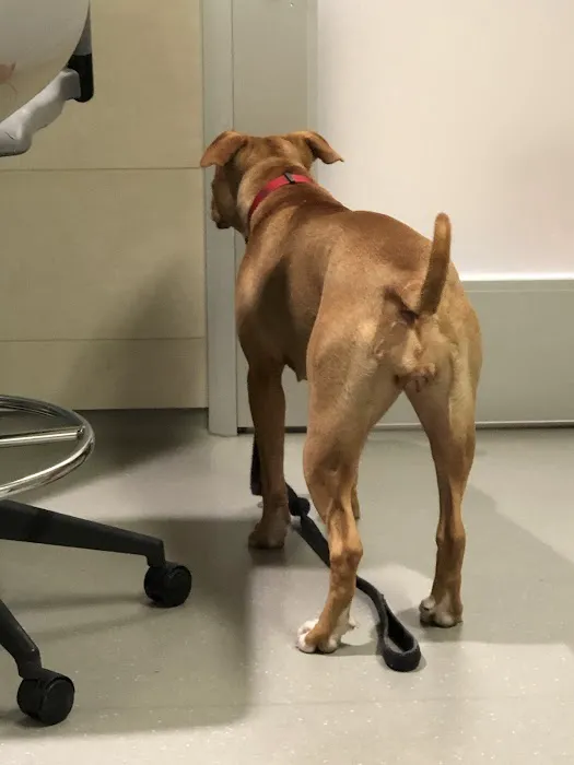 ASPCA Animal Hospital Picture 2