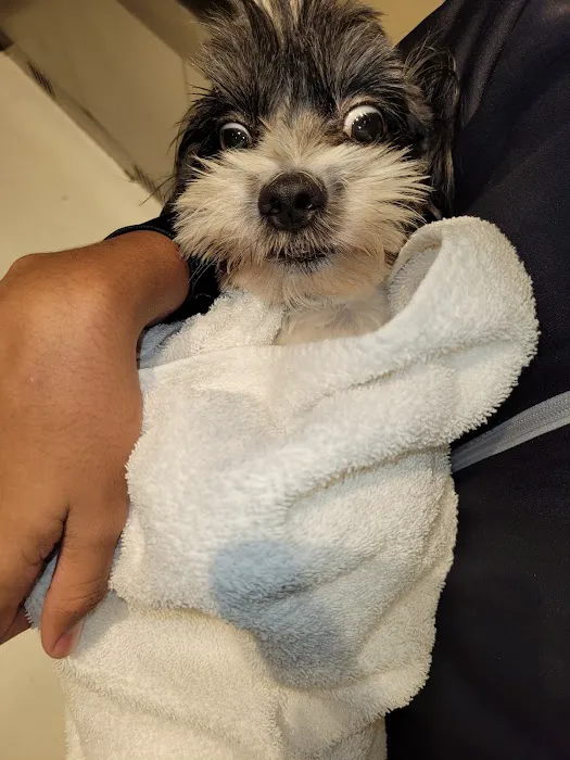 ASPCA Animal Hospital Picture 7