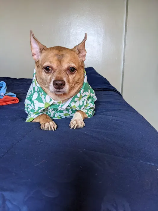 ASPCA Animal Hospital Picture 5