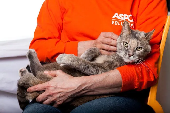 ASPCA Animal Hospital Picture 3