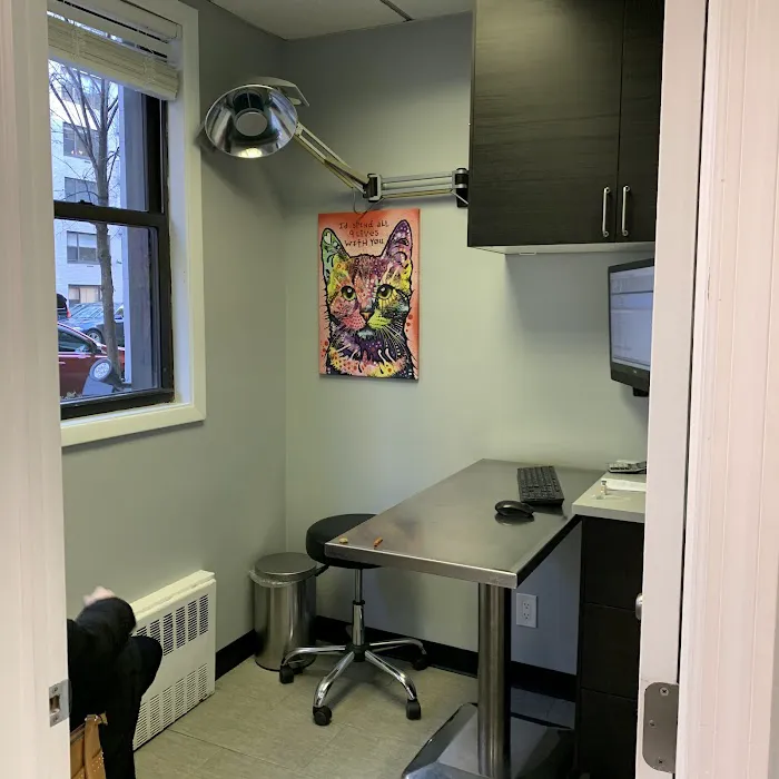York Veterinary Center Picture 4