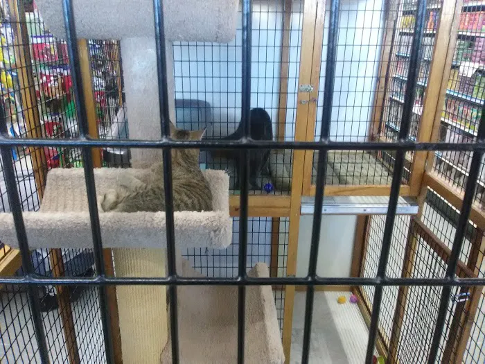 Pet World Picture 3