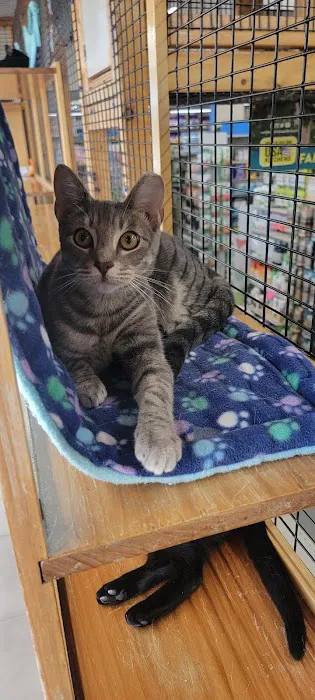 Pet World Picture 7