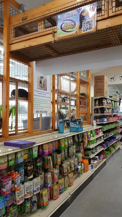 Pet World Picture 5