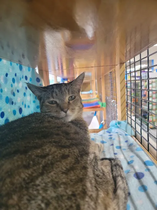 Pet World Picture 4