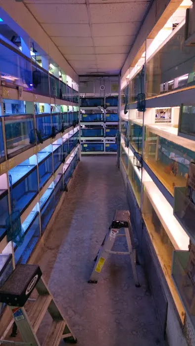Tropic Isle Aquarium Picture 7