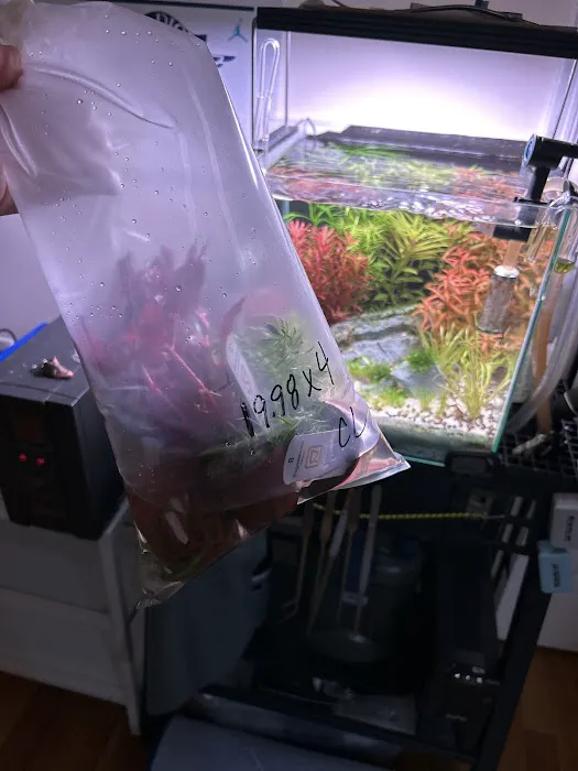 Tropic Isle Aquarium Picture 9