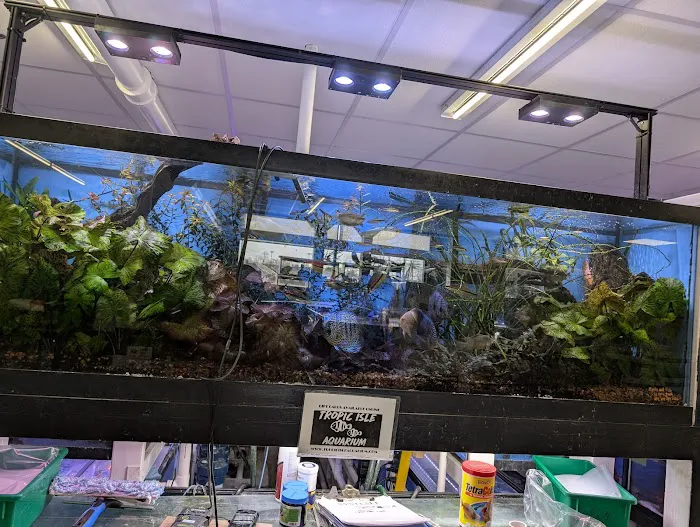 Tropic Isle Aquarium Picture 10