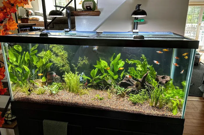 Tropic Isle Aquarium Picture 1
