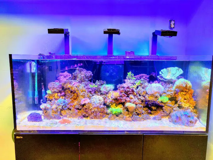 Tropic Isle Aquarium Picture 6