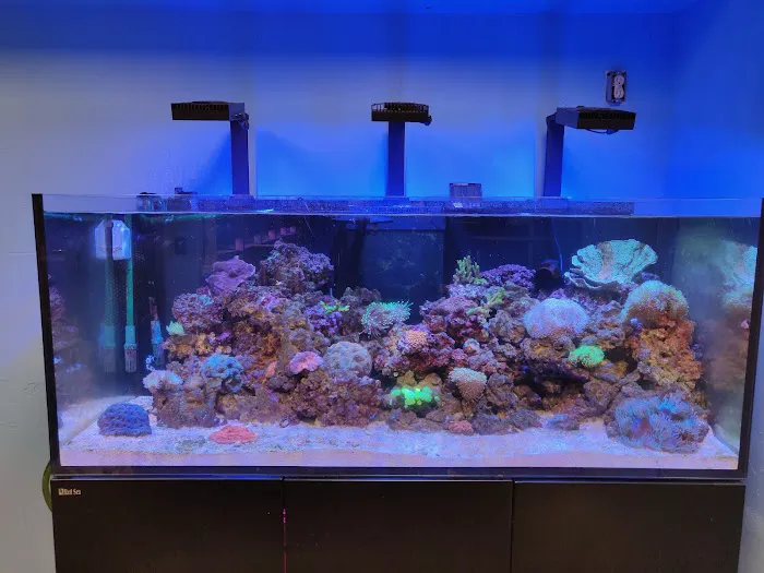 Tropic Isle Aquarium Picture 5