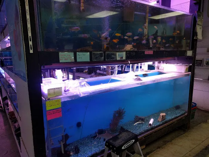 Tropic Isle Aquarium Picture 3