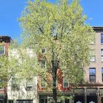 Heights and Hill Veterinary Hospital