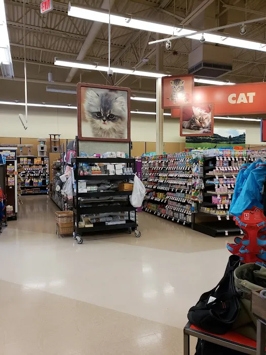 Petco Picture 1