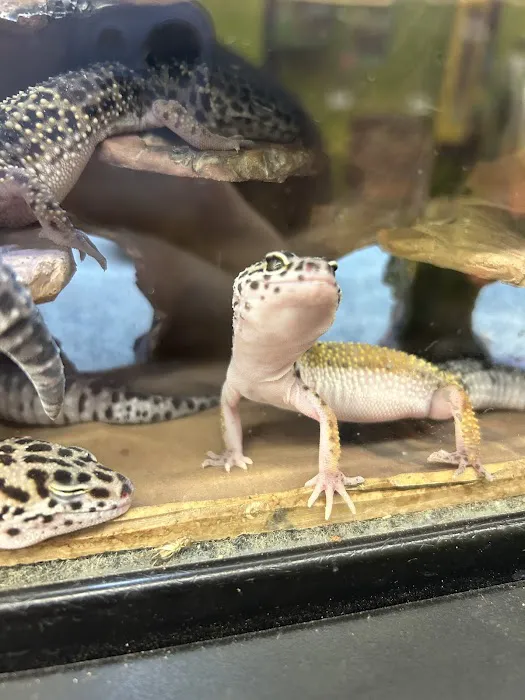 Petco Picture 5