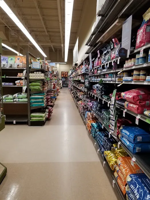 Petco Picture 7