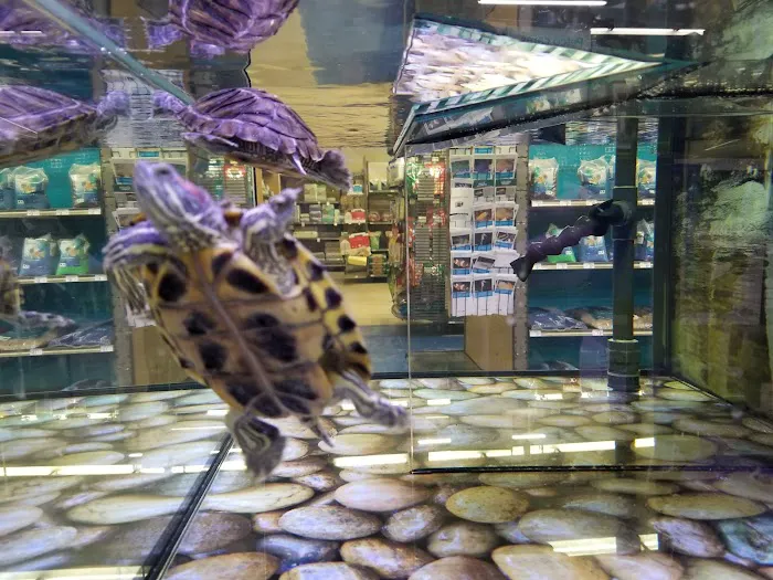 Petco Picture 4