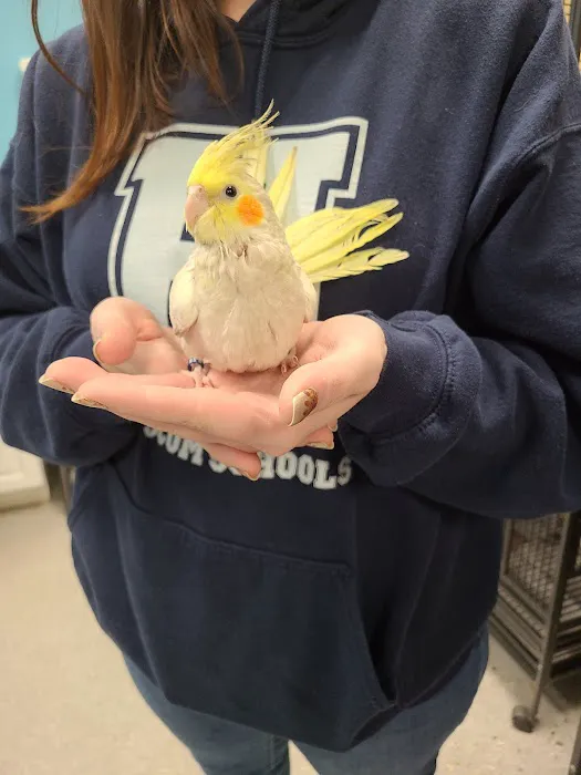 Bird Supply of New Hampshire & the Pet Stop Picture 2